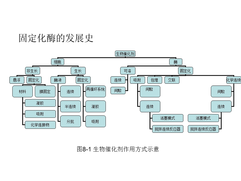 固定化酶和细胞原理.ppt_第3页