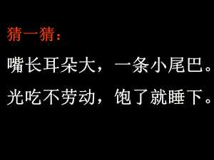 绘本故事《小猪变形记》xin.ppt