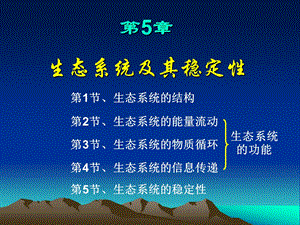 复习第5章-生态系统及其稳定性复习.ppt