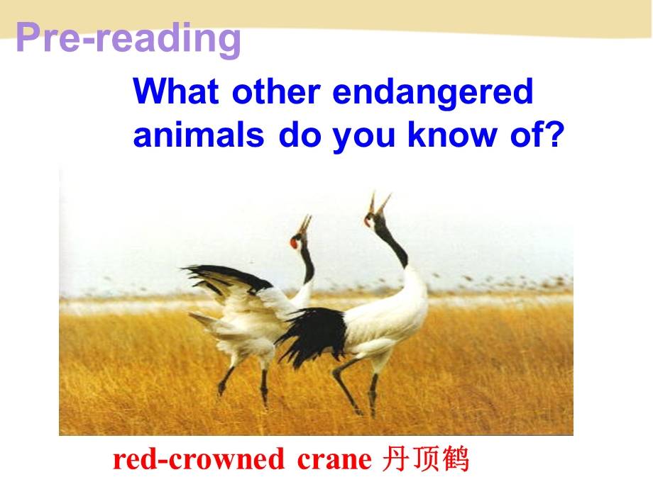 必修二第四单元Reading课件.ppt_第2页