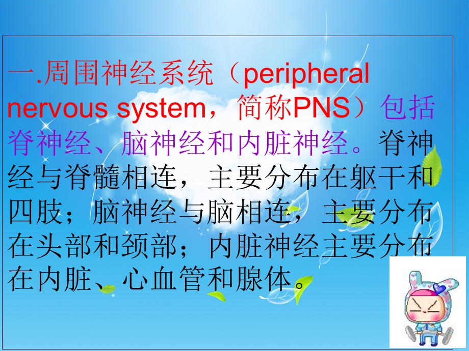 腕关节离段再植后期康复.ppt_第2页