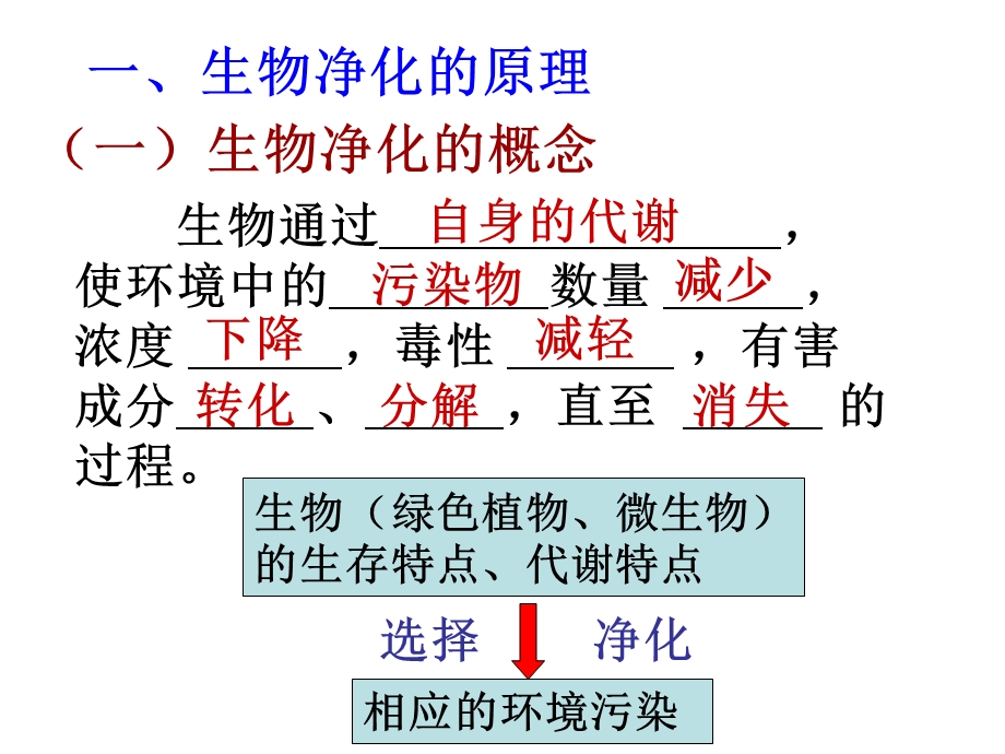 高二生物生物净化的原理及其应用.ppt_第3页