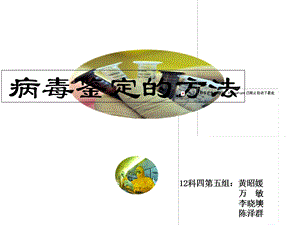 病毒鉴定的方法-科四第5组.ppt