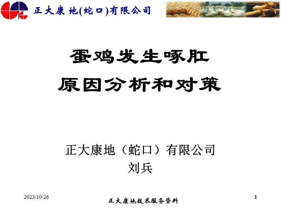 蛋鸡发生啄肛原因分析和对策.ppt_第1页