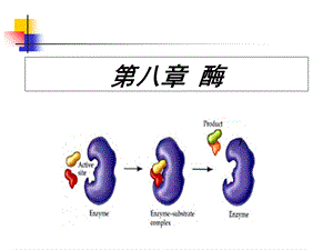 食品化学-第八章-酶.ppt