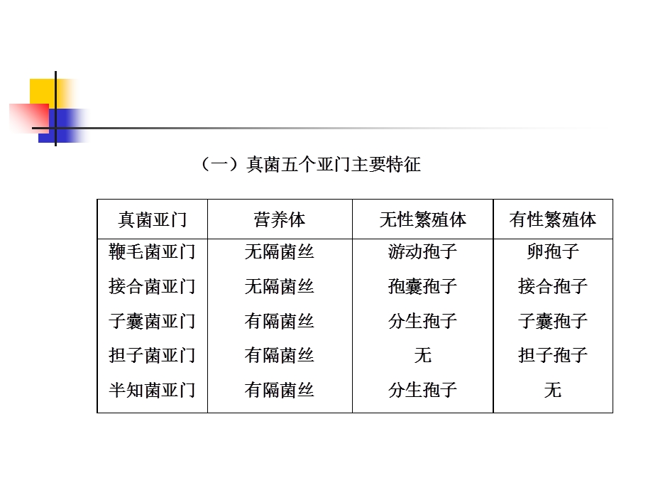 蔬菜病原真菌分类 (2).ppt_第3页