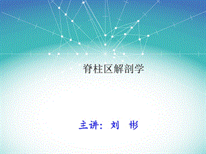 脊柱区局部解剖学.ppt