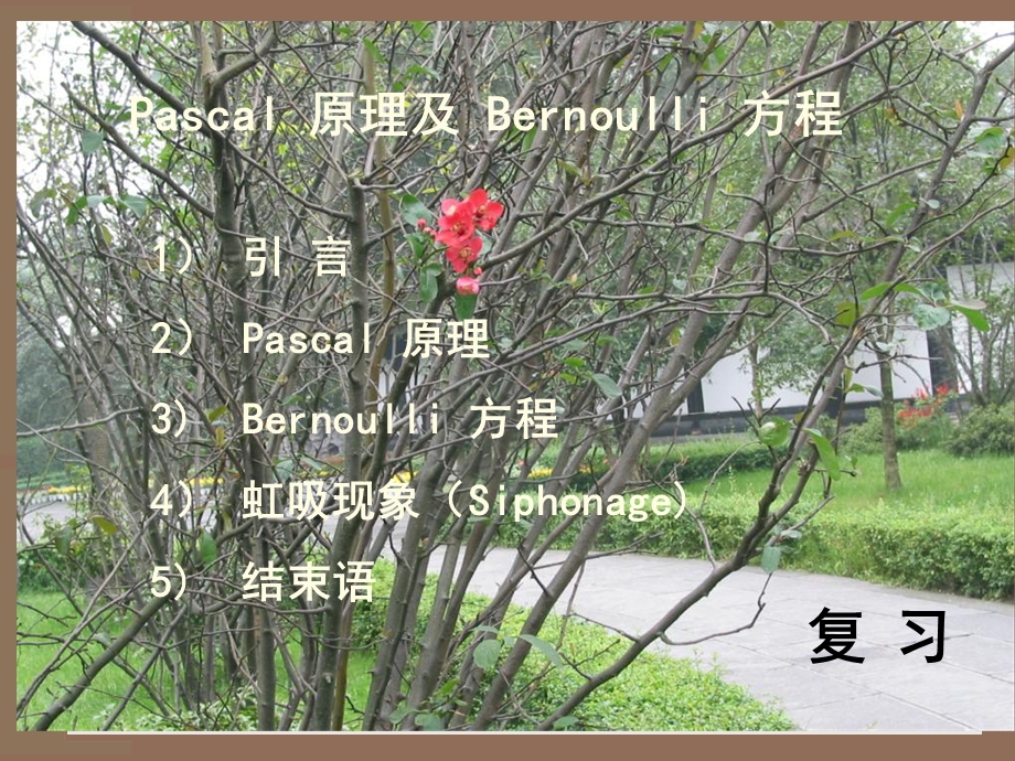 表面张力和毛细现象.ppt_第2页