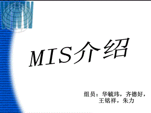 管理信息系统MIS介绍.ppt