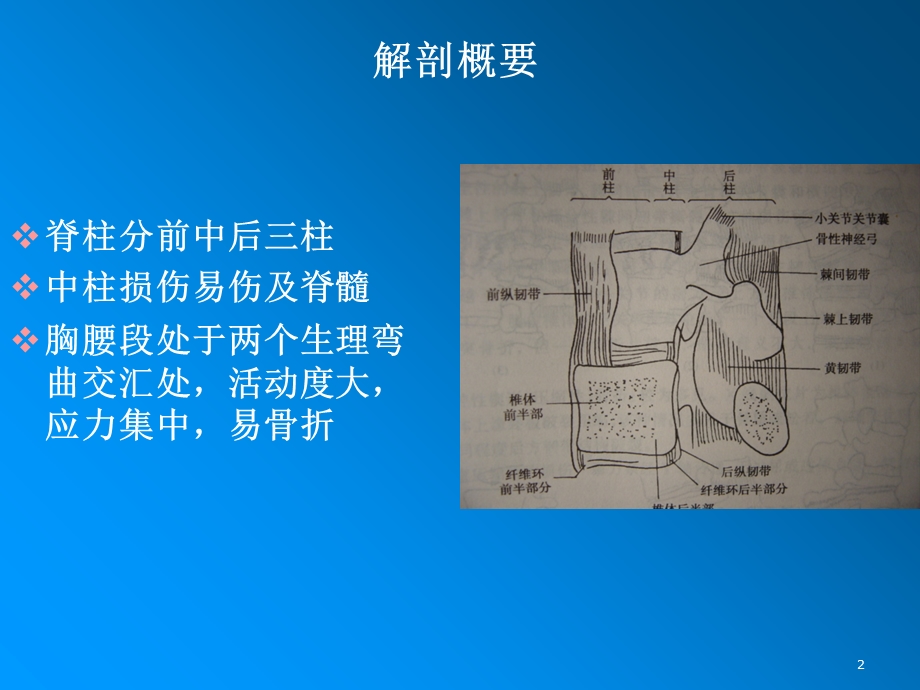 脊柱骨折和脊髓损伤PPT课件.ppt_第2页