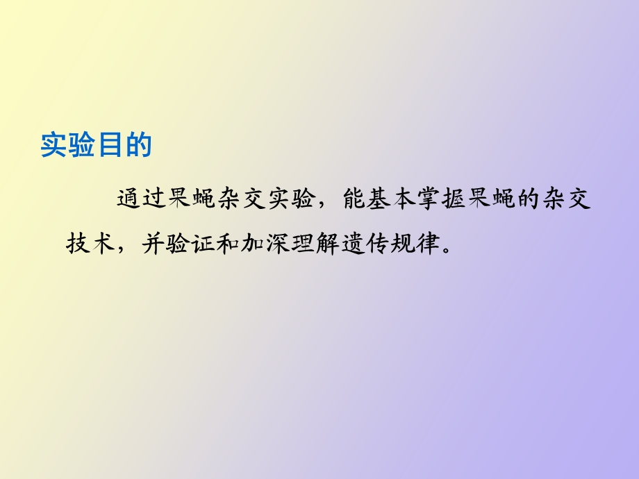 果蝇的有性杂交.ppt_第2页