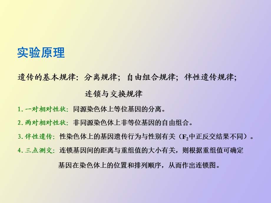 果蝇的有性杂交.ppt_第3页