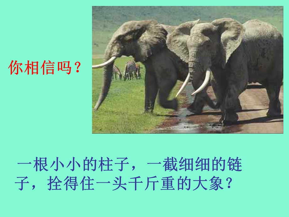 鉴赏杜甫江汉.ppt_第3页