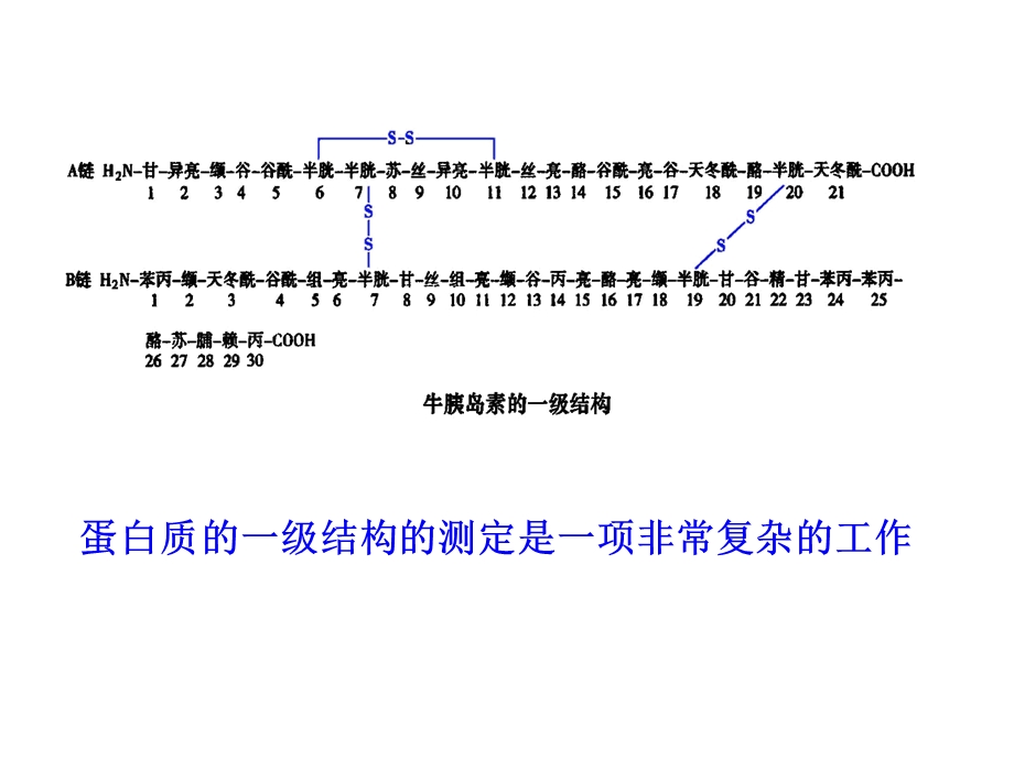 蛋白质一级结构测定.ppt_第3页