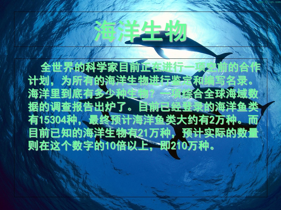 海洋探秘三7班吉言.ppt_第3页