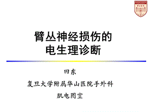 臂丛神经损伤的诊治进展ppt课件.ppt