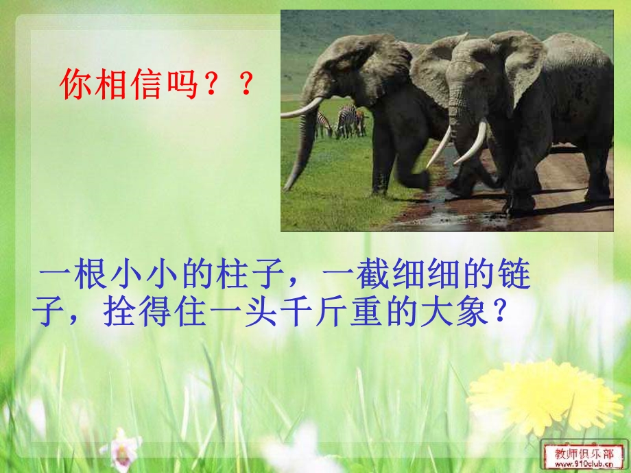 良好习惯主题班会.ppt_第3页