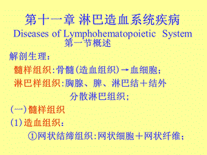 肿瘤-淋巴造血系统疾病.ppt