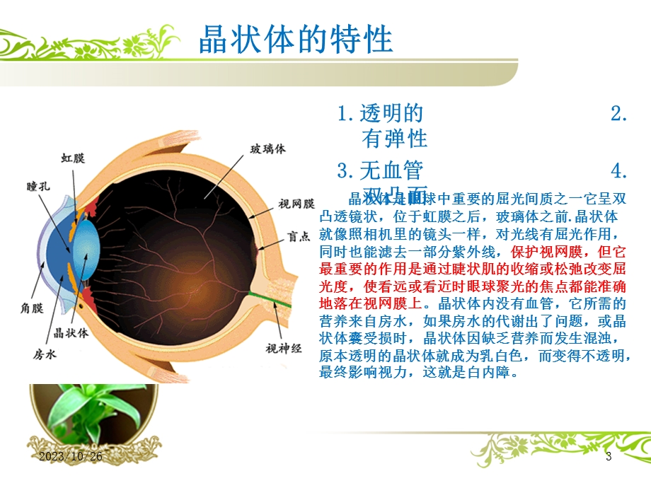 白内障围手术期护理ppt课件.ppt_第3页