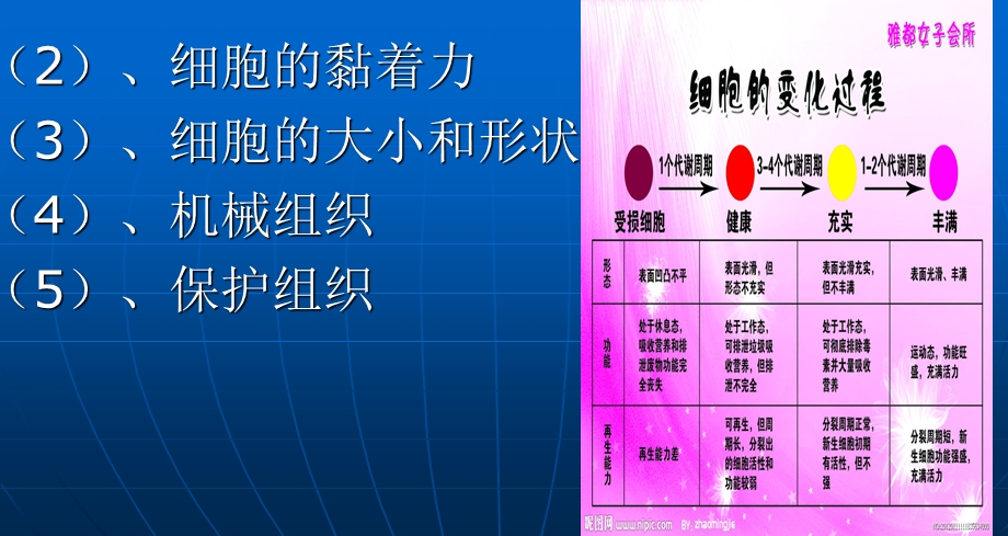 蔬菜贮藏加工的基础知识.ppt_第3页