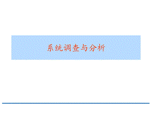 管理信息系统调查与分析.ppt