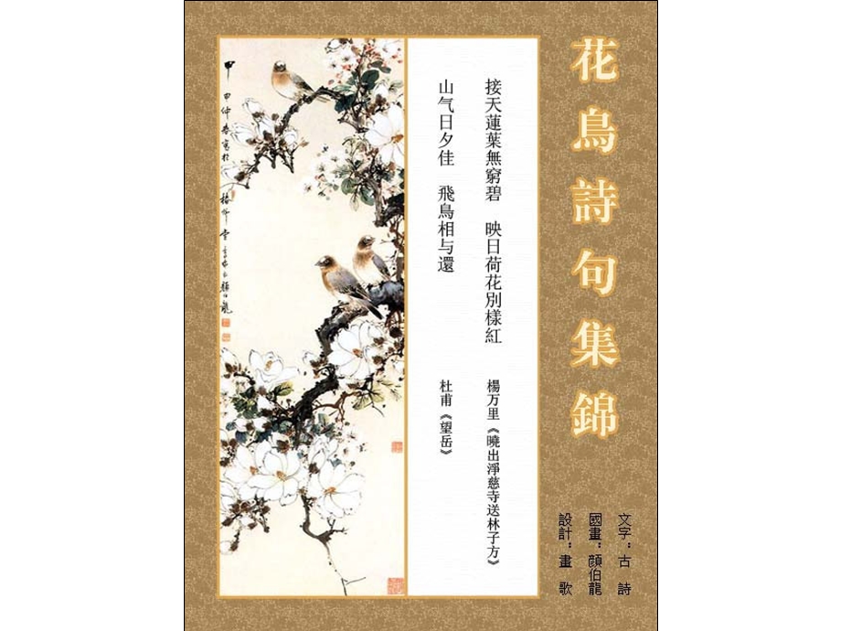 花鸟诗句集锦【经典.ppt_第3页