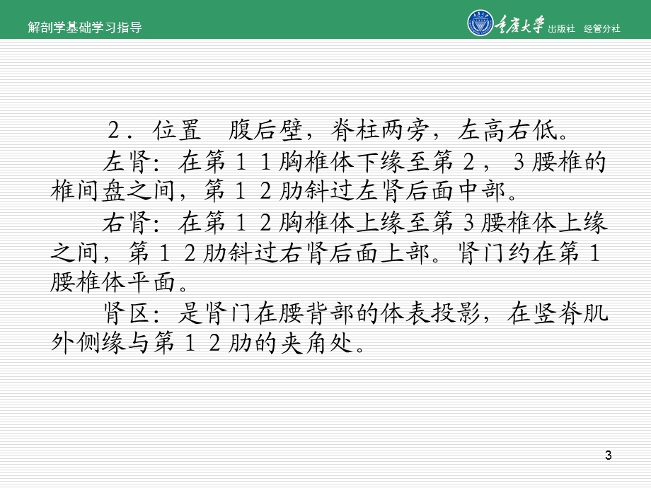 解剖学课件：泌尿系统.ppt_第3页