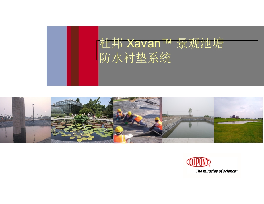 杜邦Xavan系统综合介绍改进版.ppt_第1页