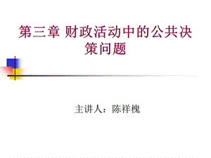 财政活动中的公共决策问题.ppt