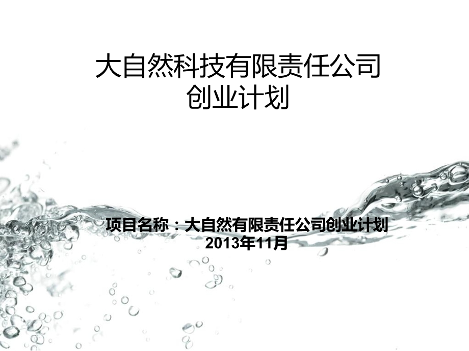 大自然有限责任公司创业计划.ppt_第1页