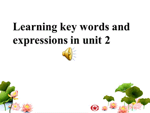 必修四第二单元词汇学习.ppt