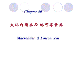 大环内酯类、氨基苷类11口腔.ppt