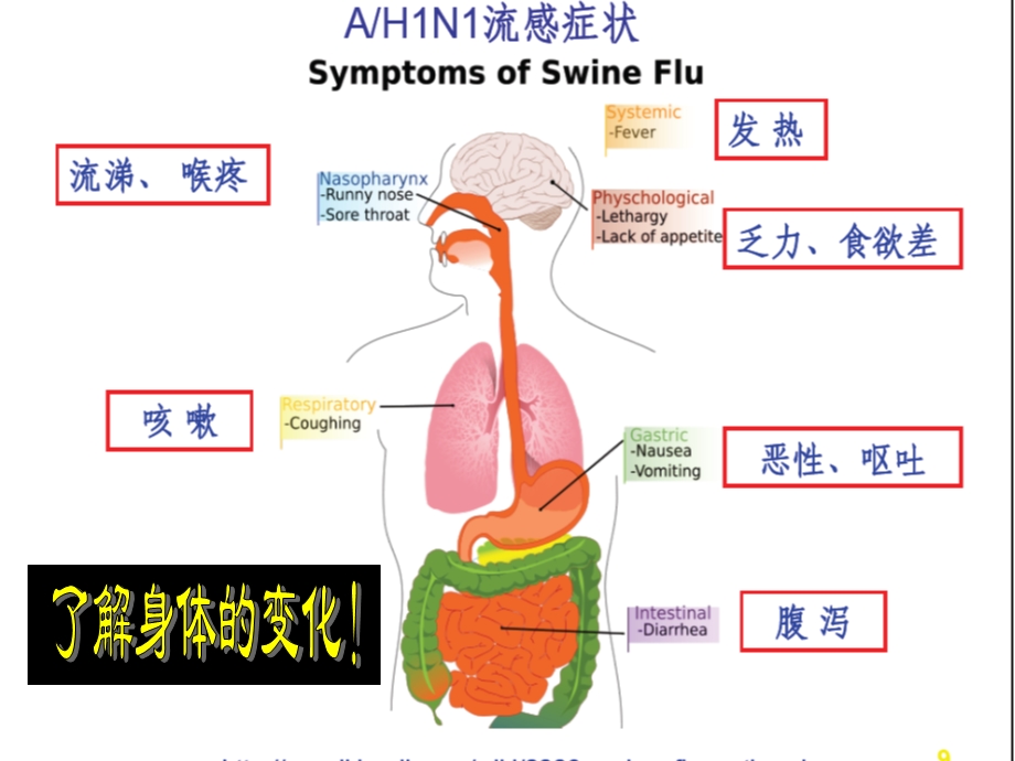 发热咳嗽打喷嚏流鼻涕喉咙痛身体痛头痛.ppt_第3页