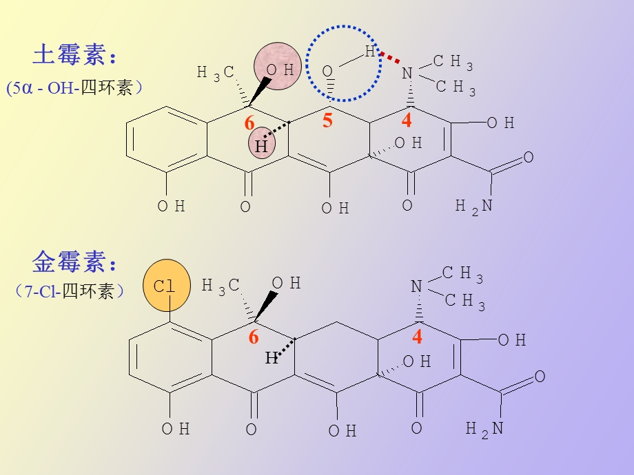 环素类抗生素.ppt_第3页