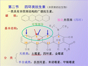 环素类抗生素.ppt