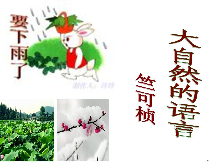 大自然的语言公开课课件.ppt_第1页