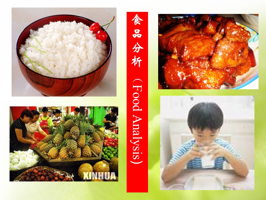 食品分析FoodAnaly.ppt_第2页