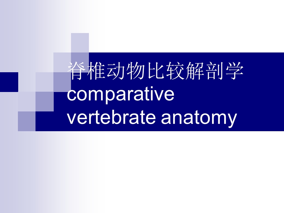 脊椎动物比较解剖学骨骼.ppt_第1页