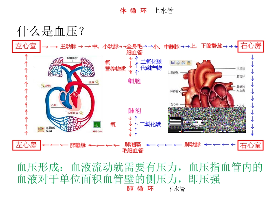 高血压糖尿病夏季养生课件.ppt_第3页