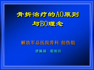 骨折治疗的AO原则与BO理念课件.ppt