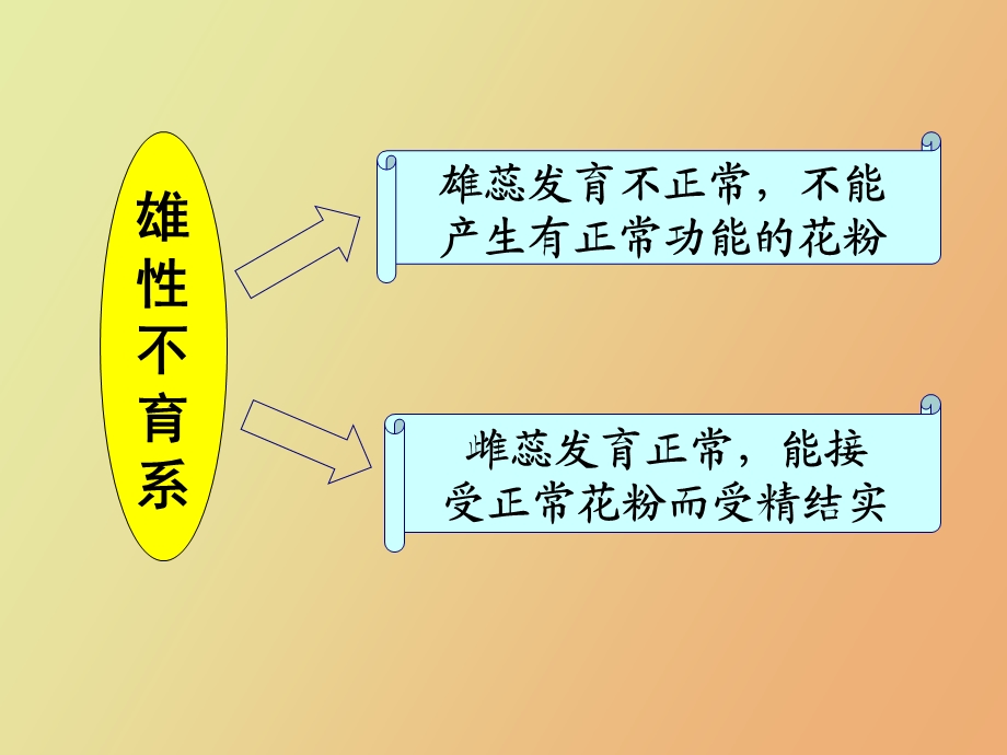 辣椒三系选育.ppt_第2页