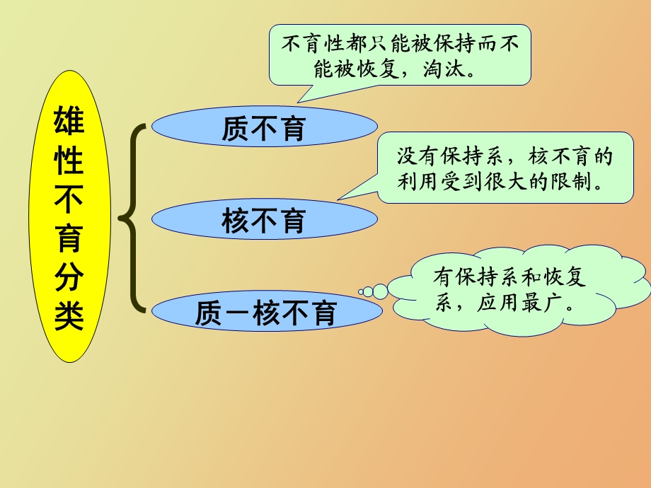 辣椒三系选育.ppt_第3页