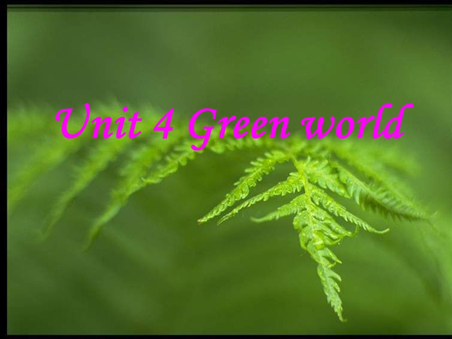 高三英语课件：上学期unit4Greenworld.ppt_第1页