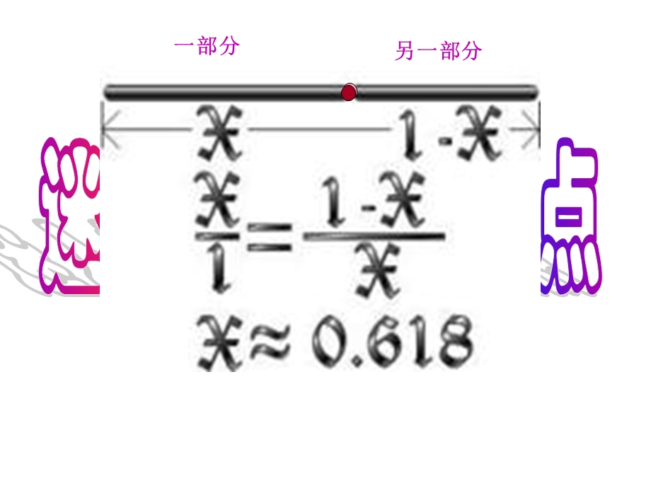 迷人的黄金分割点.ppt_第1页