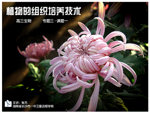 高三生物《专题3课题1菊花的组织培养》.ppt