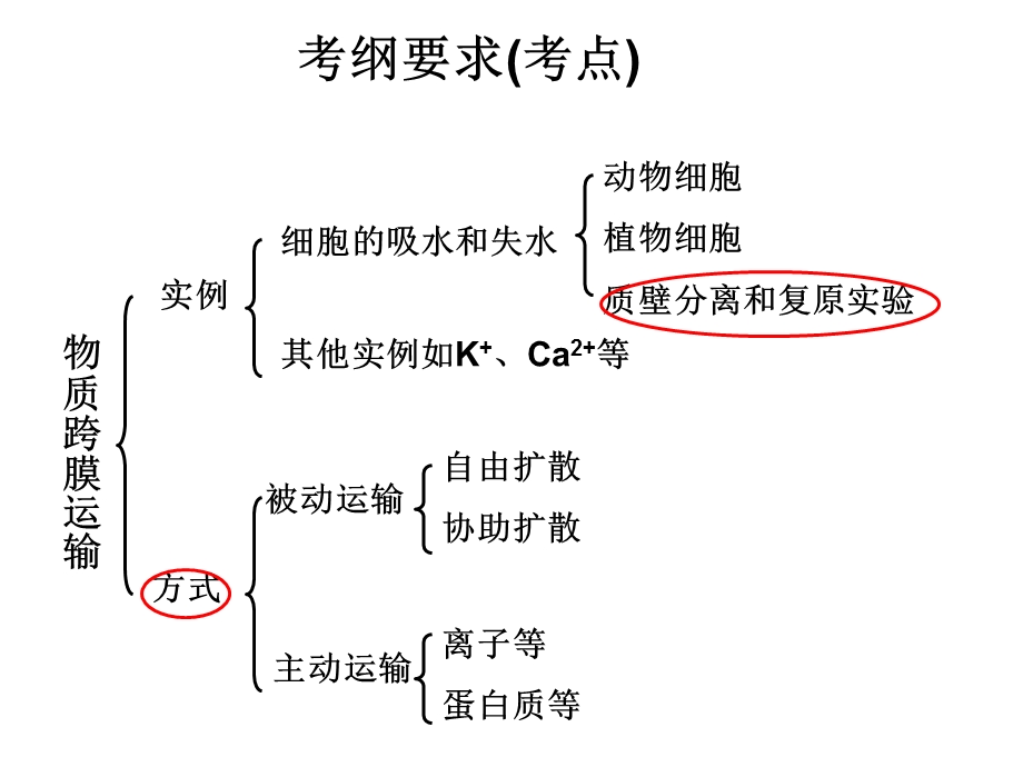 高三一轮复习物质跨膜运输的方式和实例.ppt_第2页