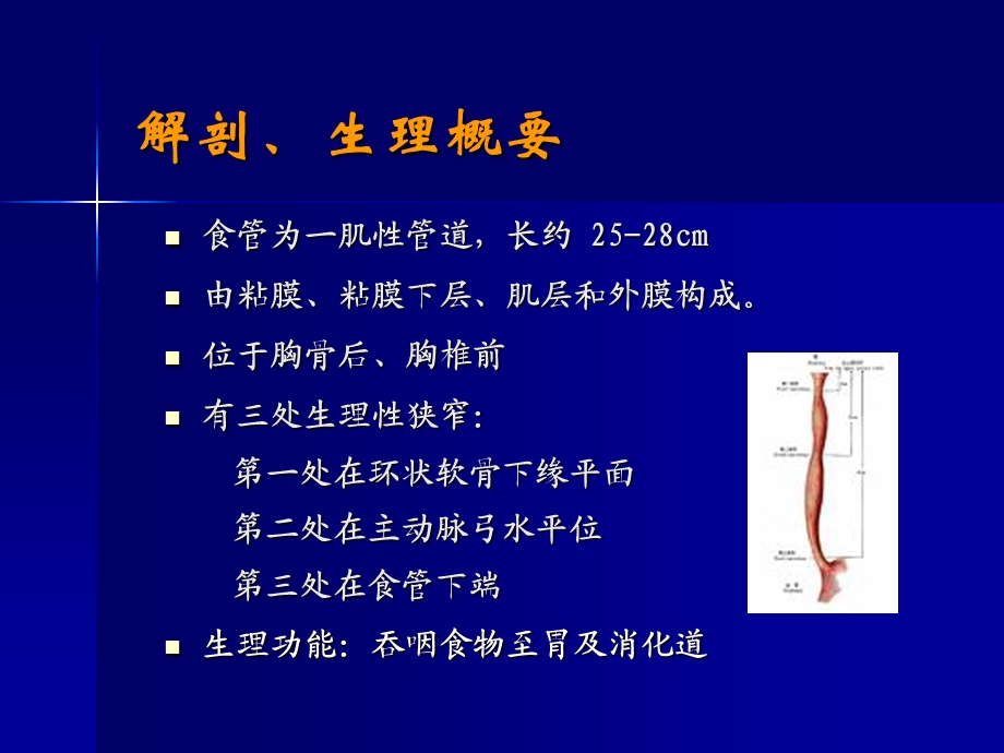 食管癌病人的护理 (2).ppt_第3页