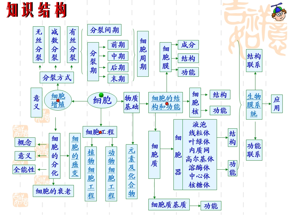 高三生物专题复习一生命的物质基础.ppt_第2页