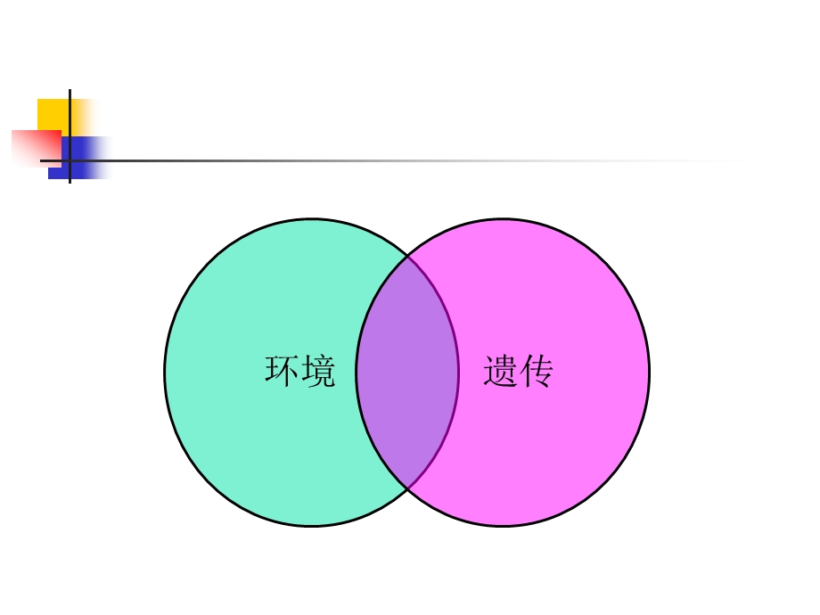 错合畸形的病因 钱玉芬口腔正畸科.ppt_第2页