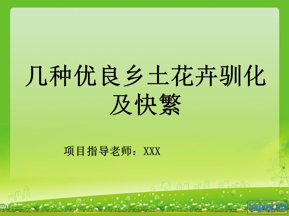 花卉快繁项目.ppt_第1页